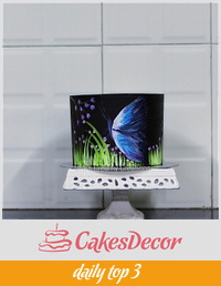 Hand painted butterfly cake