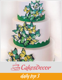 Beautiful cake with butterflies