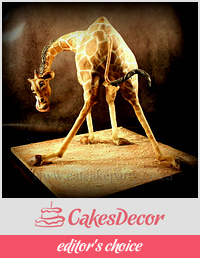  Jack's Giraffe cake