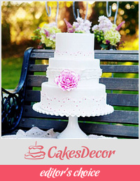 White with Pink Lace Cake