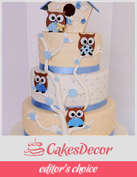 Owls cake