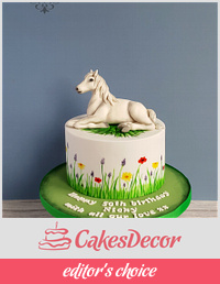 Horse themed cake.