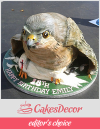 Sparrowhawk Bird cake