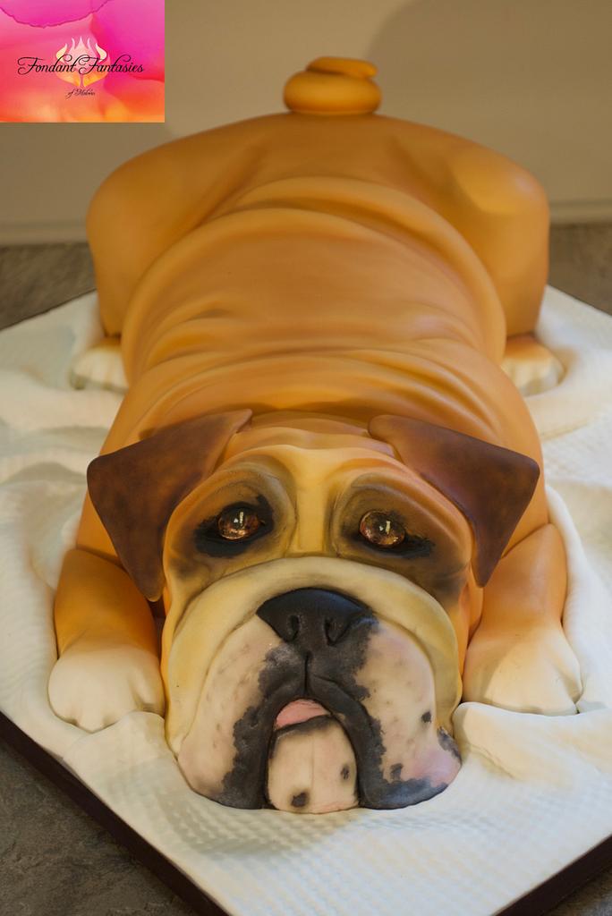 Fondant bulldog shop