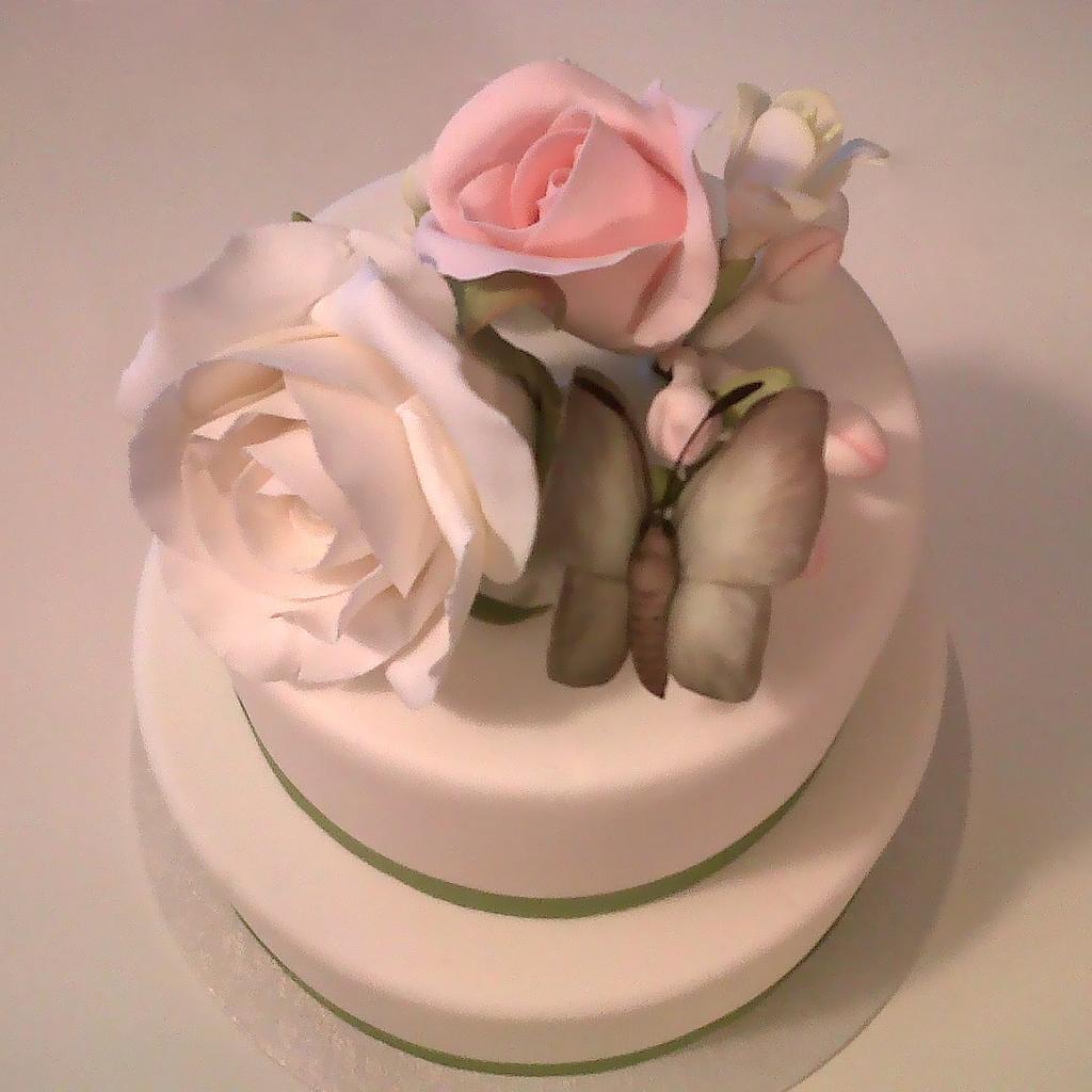 Moth Cake by Anna Sweet Design CakesDecor