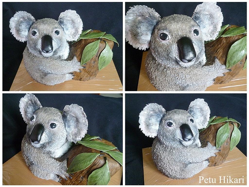 Koala bear - Decorated Cake by Petra Krátká (Petu Cakes) - CakesDecor