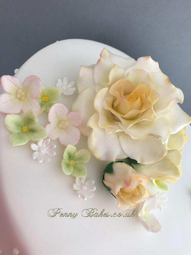 Birthday cake Cake by Penny Sue CakesDecor