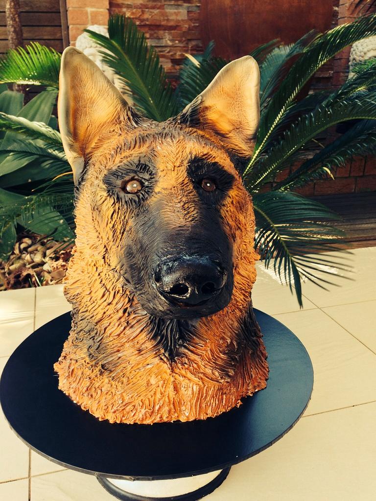 German shepherd birthday store cake