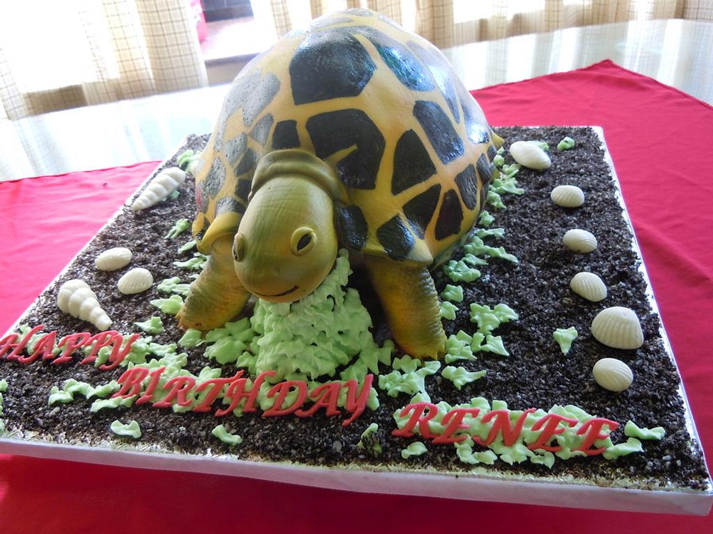 Tortoise munches on 60th birthday cake at Pennsylvania zoo. - Good Morning  America