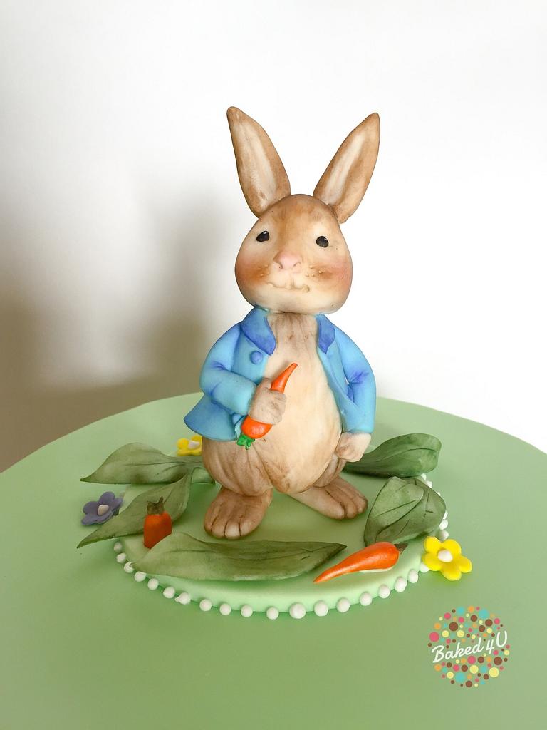 Peter Rabbit - Cake by Baked4U - CakesDecor