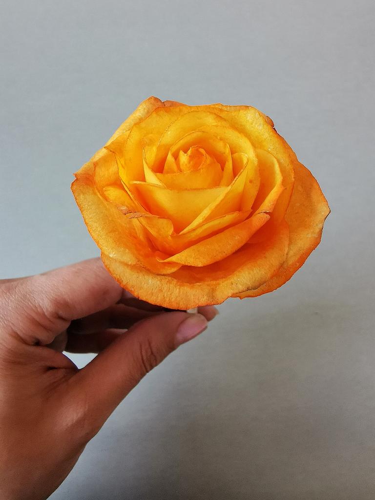 Wafer paper rose - Cake by Tirki - CakesDecor