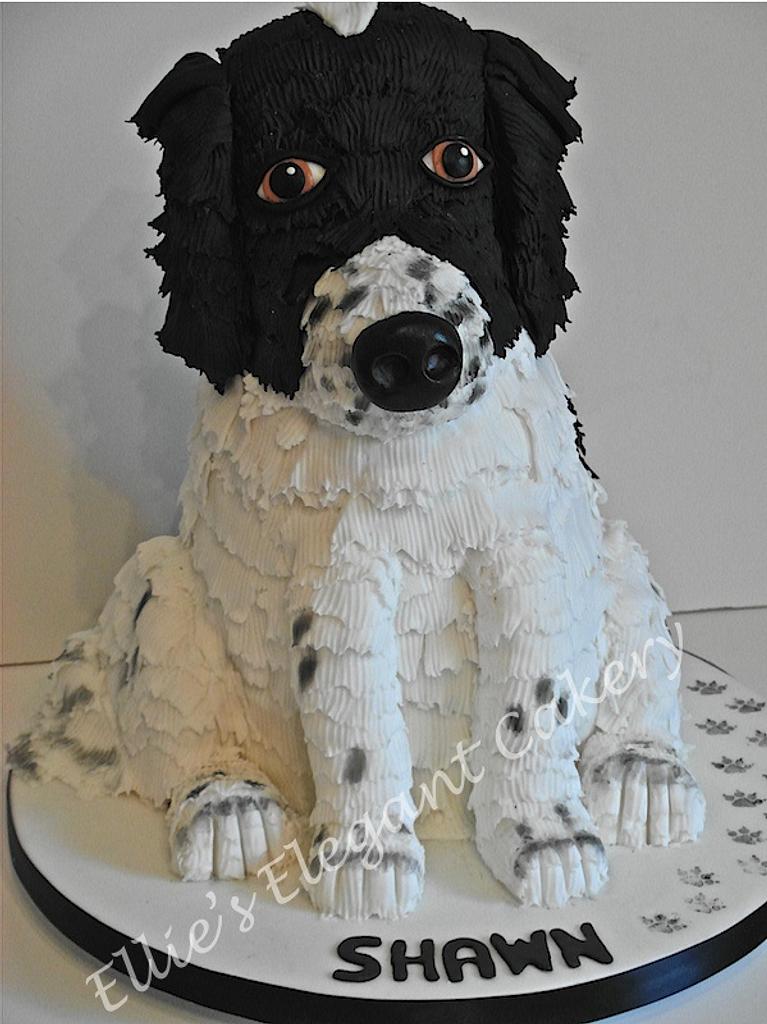 White shop dog cake