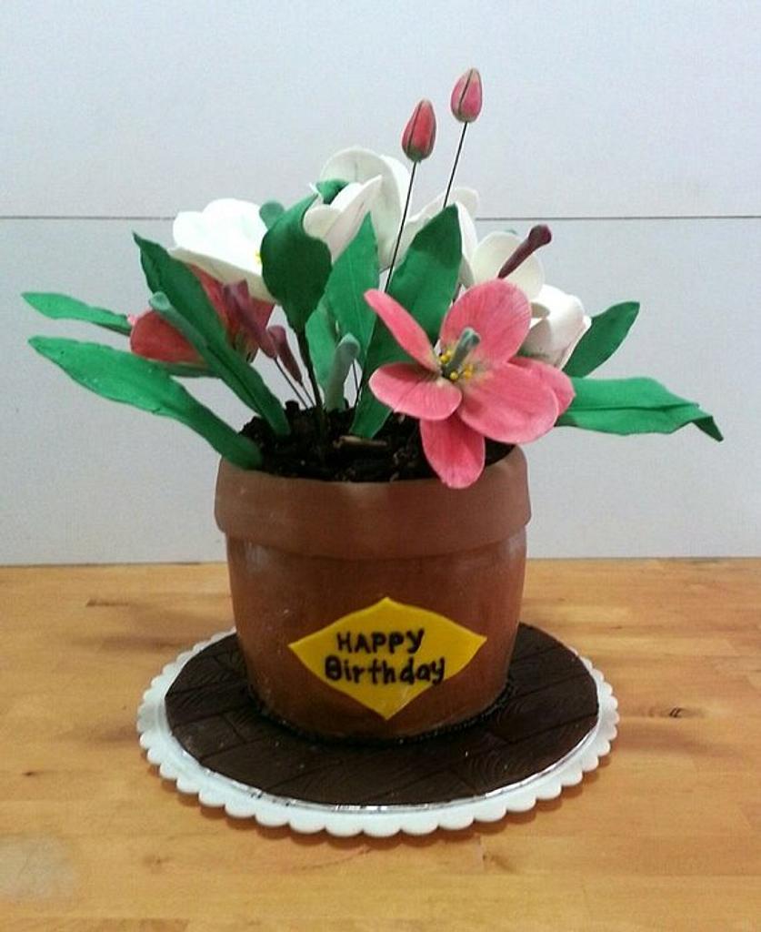 Flower Pot Cake Cake by LesJumellesCakes CakesDecor