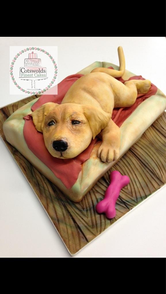 Golden retriever puppy Cake by Aggy Dadan CakesDecor