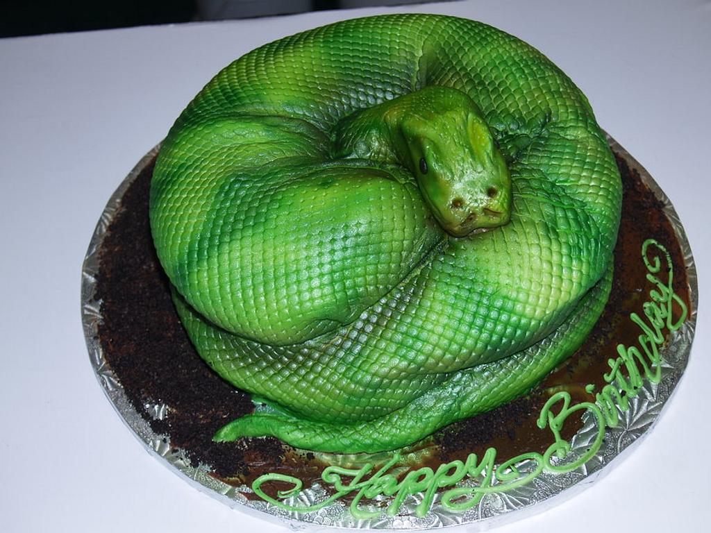 cake by derekica snake