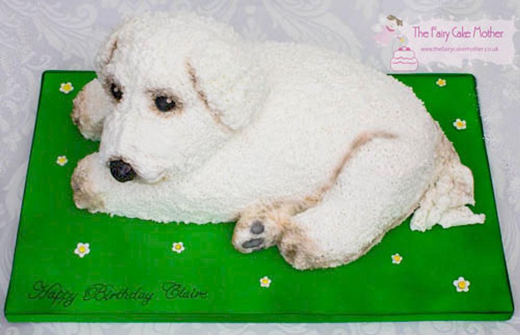 Bichon cake hot sale