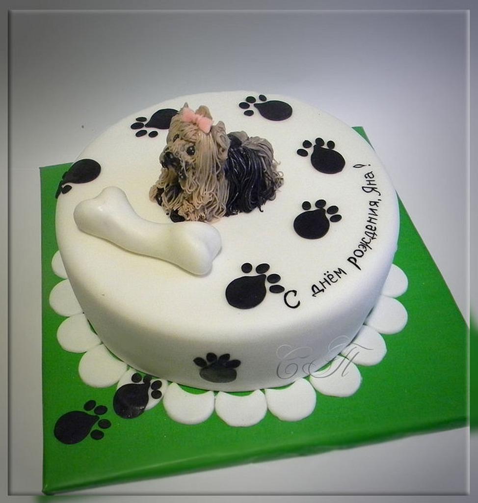 Dog Birthday Cake recipe linked in bio! • #dog #puppy #pup #dogrecipe  #dogbirthday #dogbirthdaycake #baking #dogcake #dogcakes #dogcak... |  Instagram