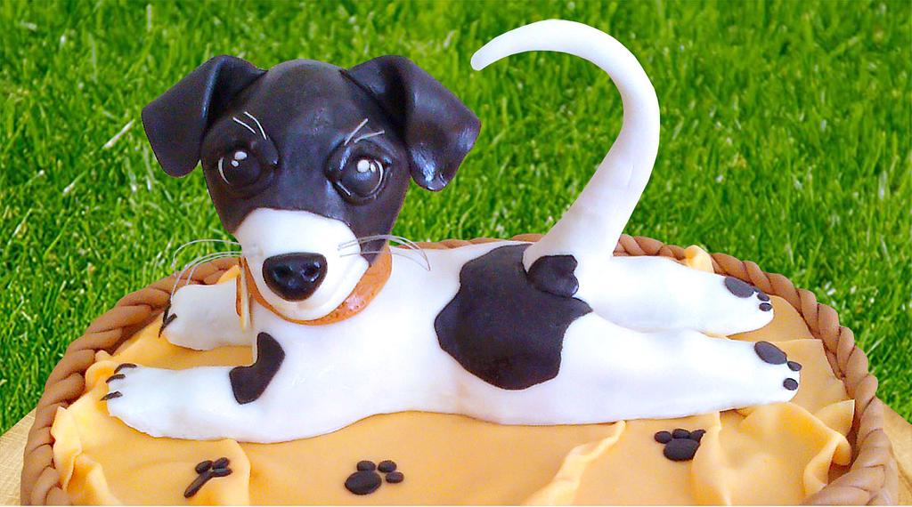 jack russel terier Cake by LiViera CakesDecor