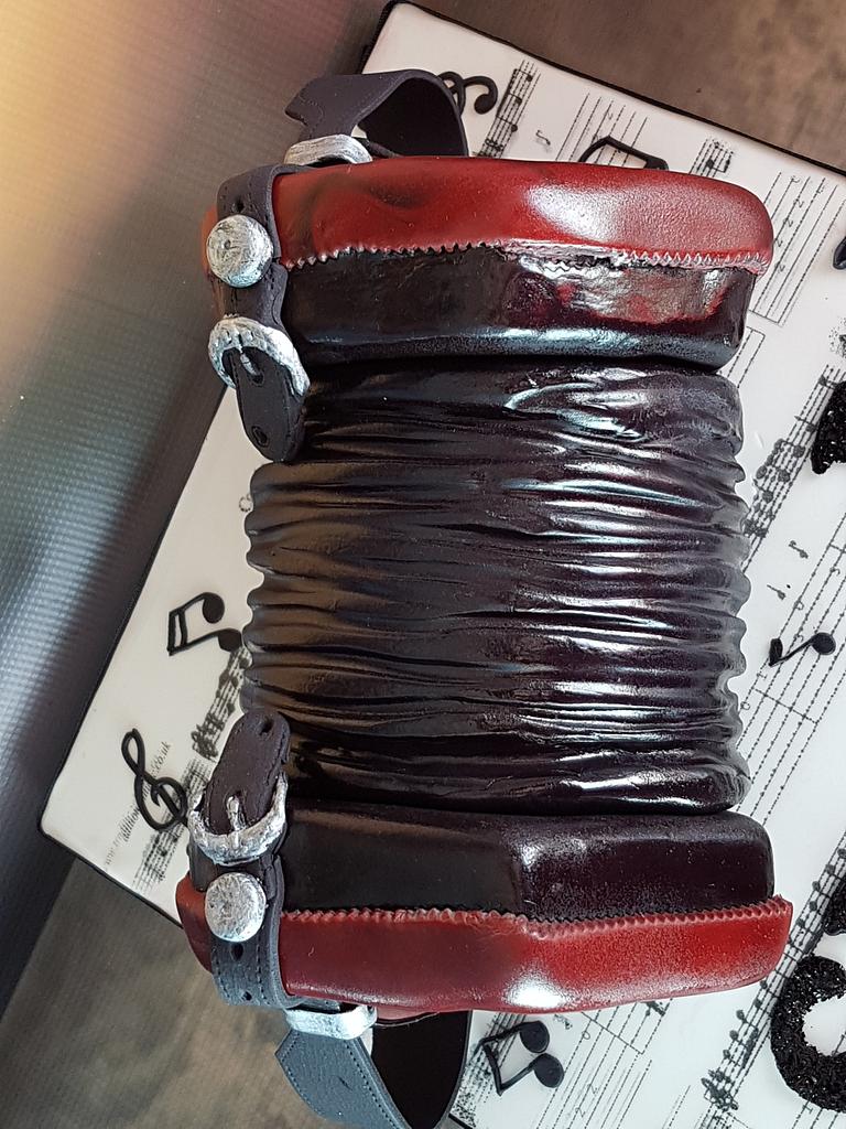 Concertina cake Cake by susan joyce CakesDecor