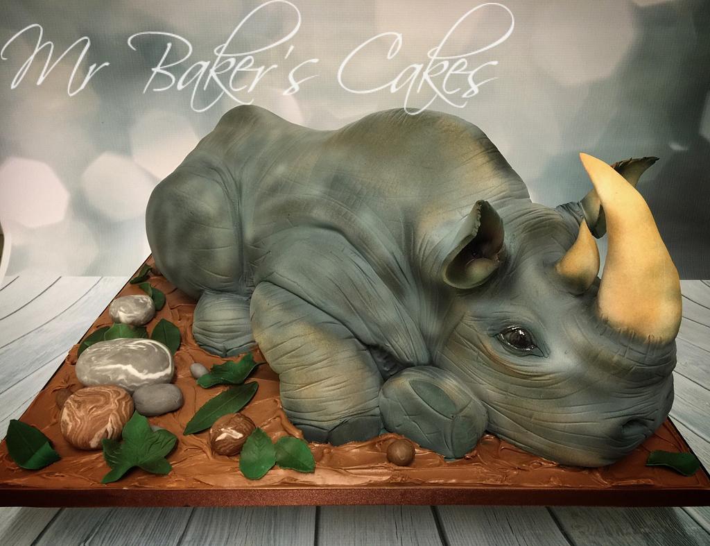 Rhino cake - Decorated Cake by Helen Campbell - CakesDecor