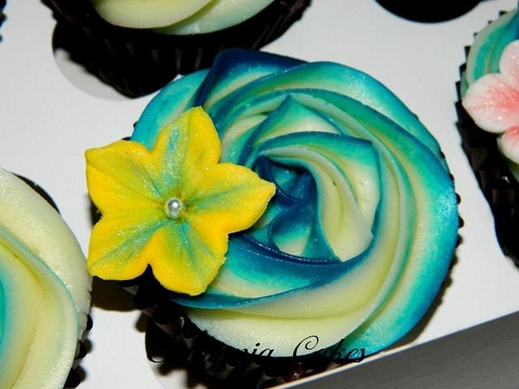 Turquoise Cupcakes Cake By Eva Cakesdecor