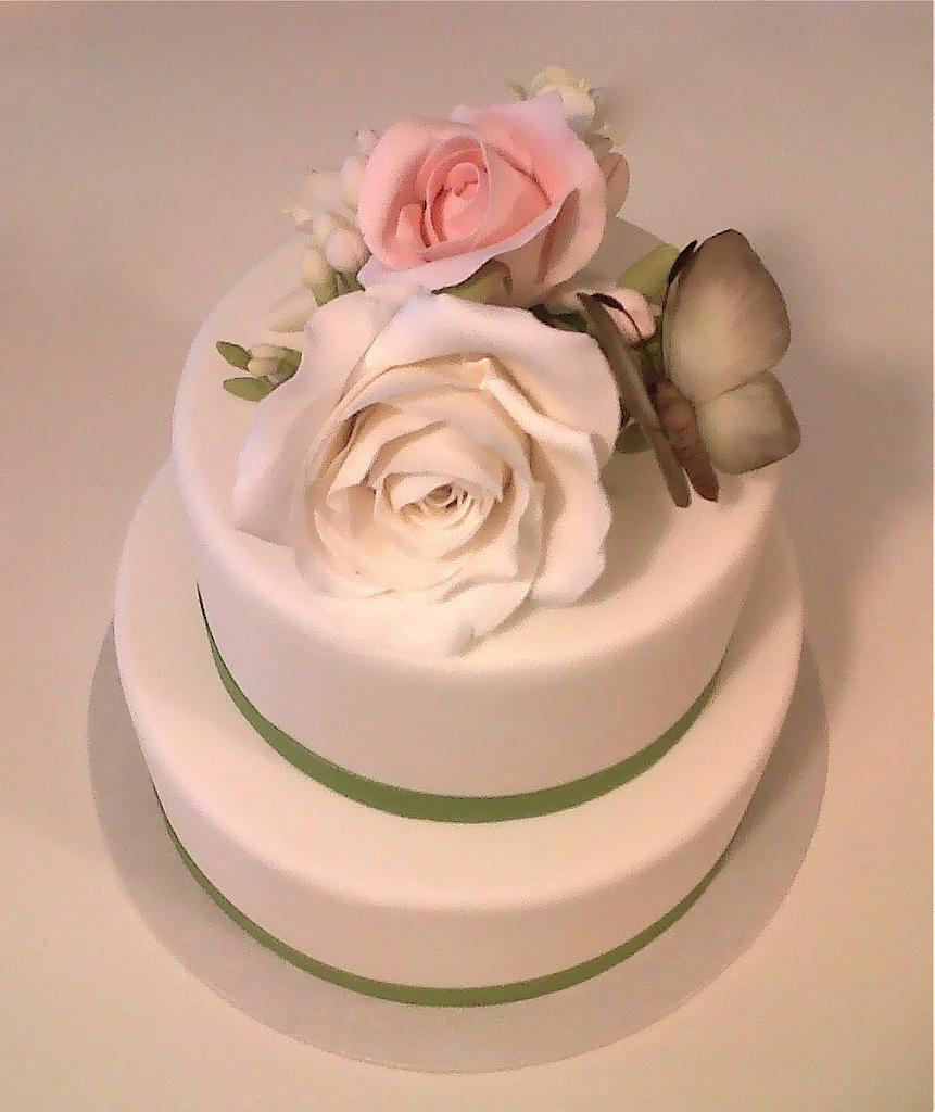 Moth Cake by Anna Sweet Design CakesDecor