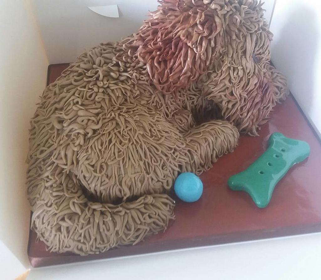 Shaggy 2024 dog cake