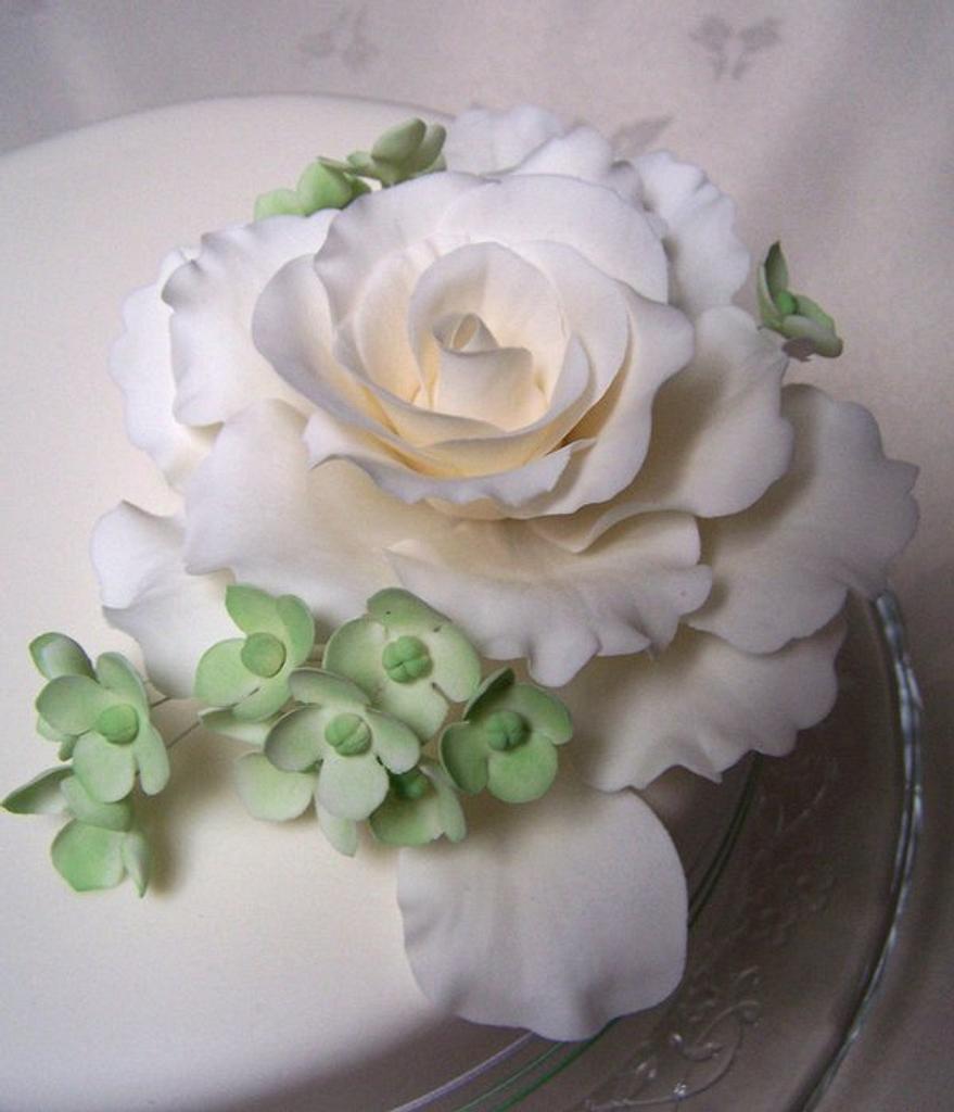 White Rose Wedding Cake Cake By Laelia Cakesdecor 