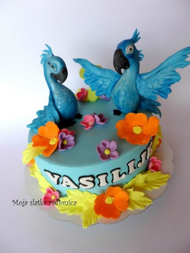 Rio cake - Cake by Branka Vukcevic - CakesDecor