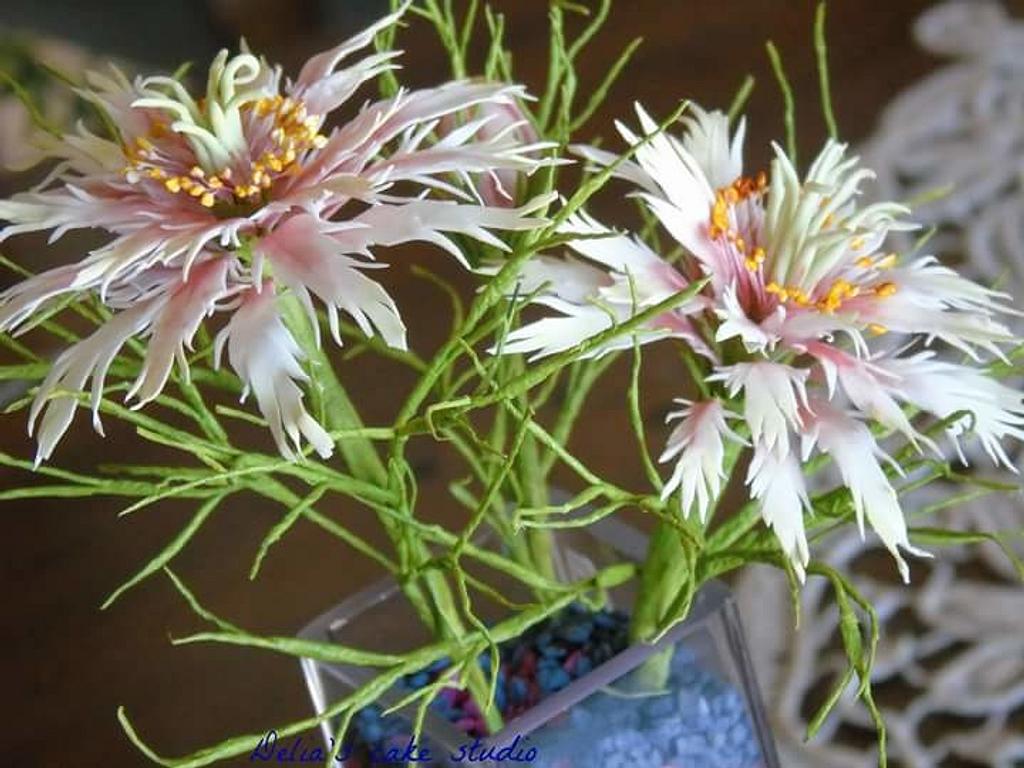 Nigella Cake by Delia's_cake studio CakesDecor