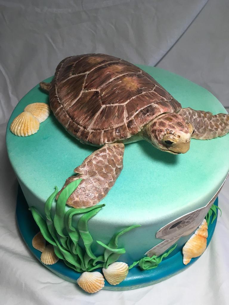 Turtle cake - Cake by dortikyodjanicky - CakesDecor