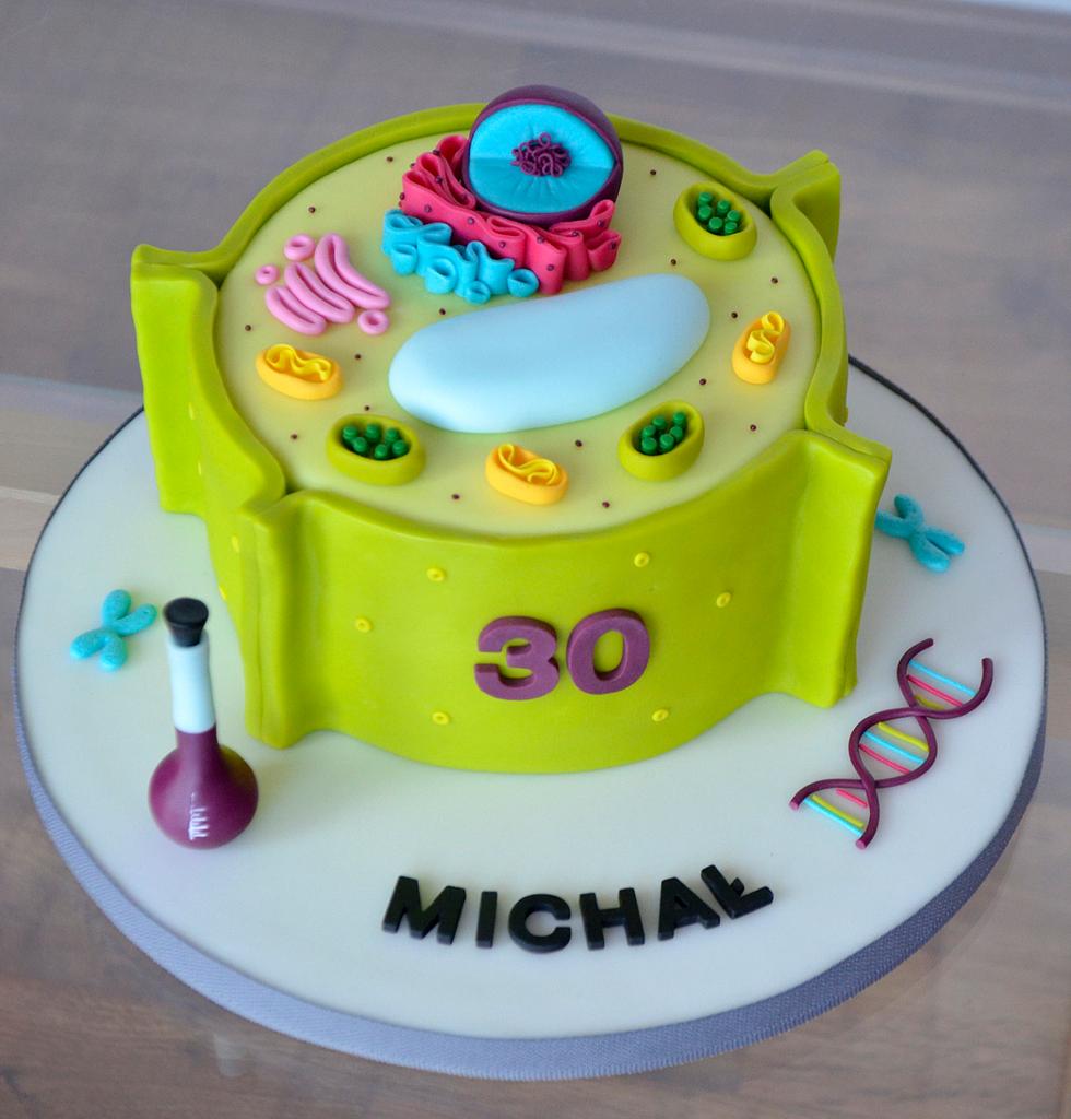 Animal Cell Cake of Celliness : 6 Steps (with Pictures) - Instructables