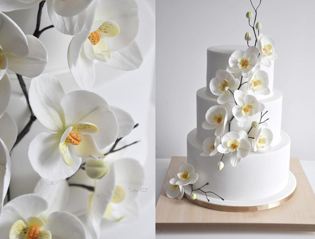 Orchid Cake By Cakesviz Cakesdecor