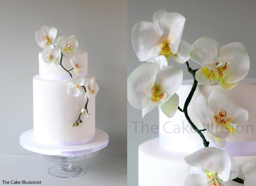 Orchid moth cake for my mom - Decorated Cake by mamadu - CakesDecor