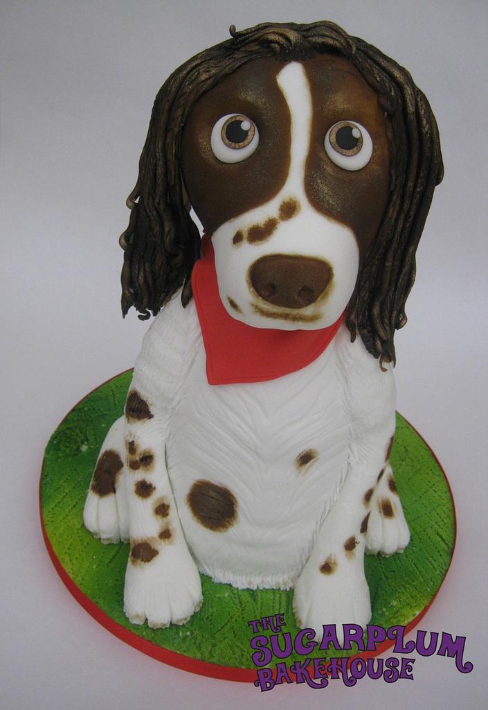 Springer sales spaniel cake