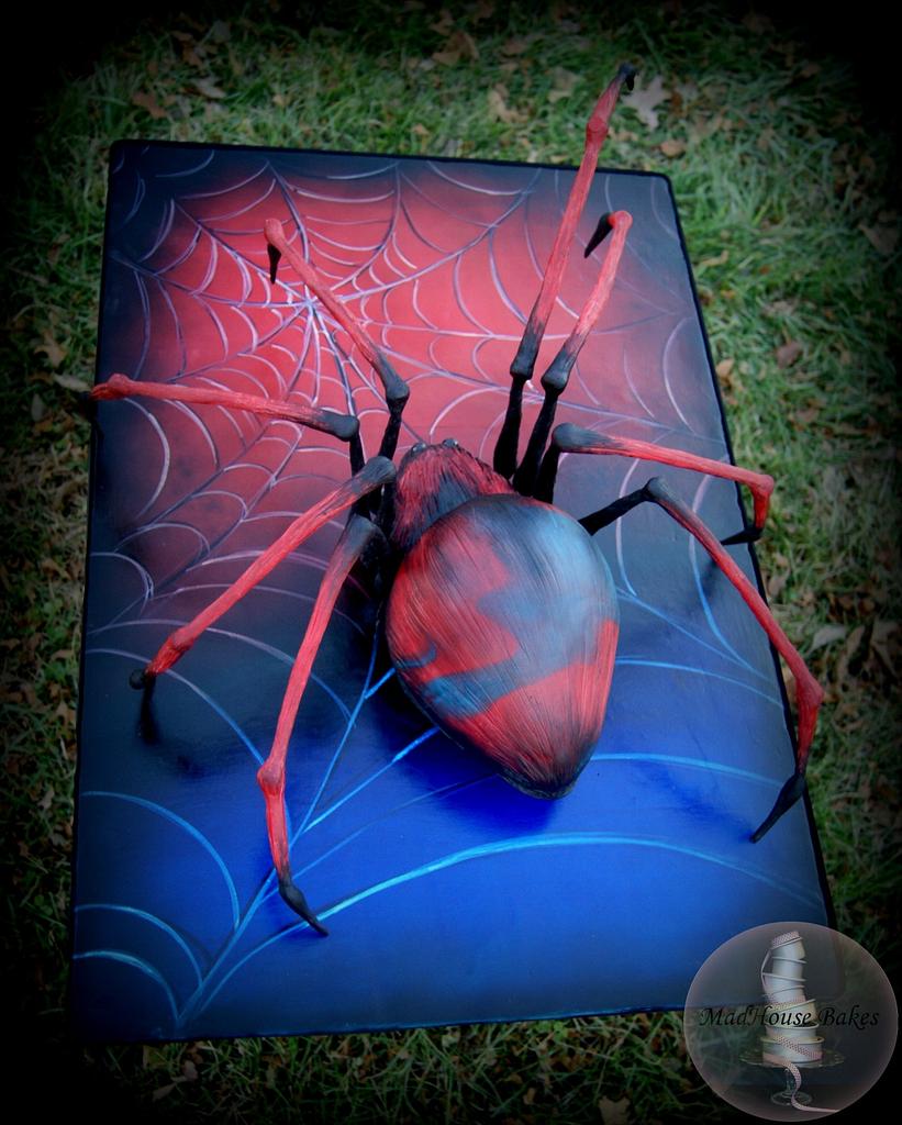 3D Spider Layon Web Cake Design | DecoPac
