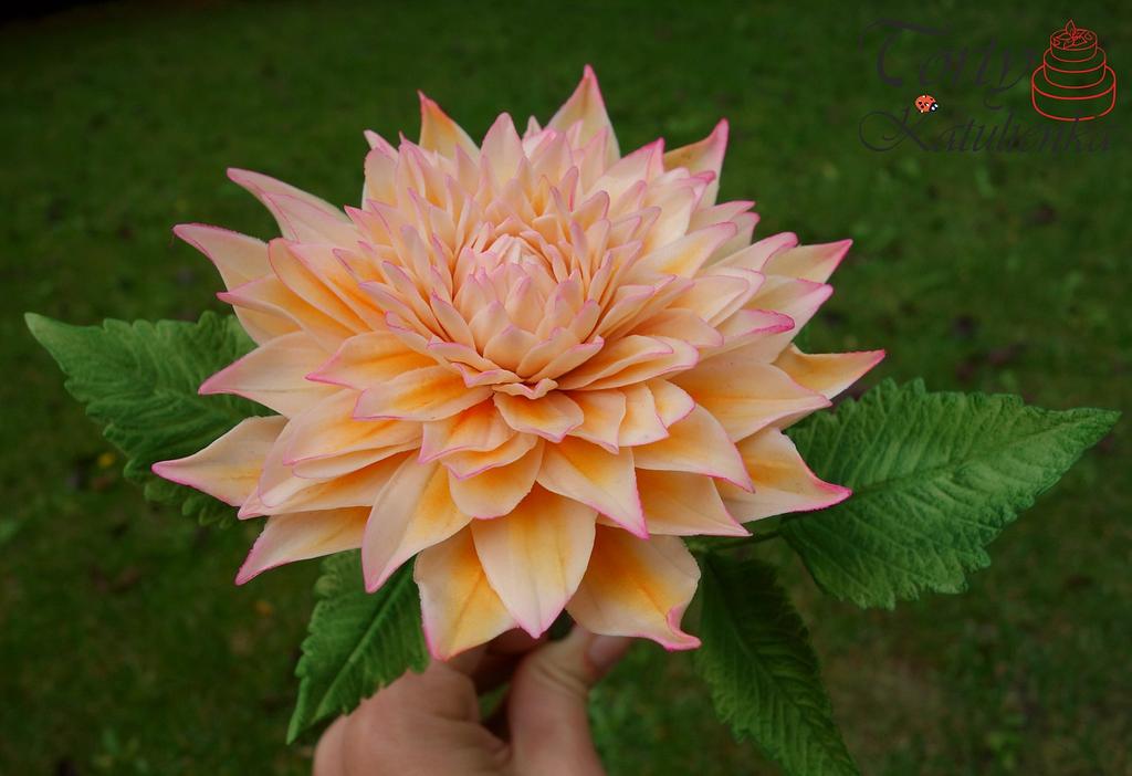 Fondant Dahlia Flower Cake by Cakes by Katulienka CakesDecor