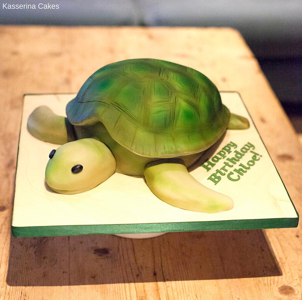 Turtle Cake Pan - Etsy