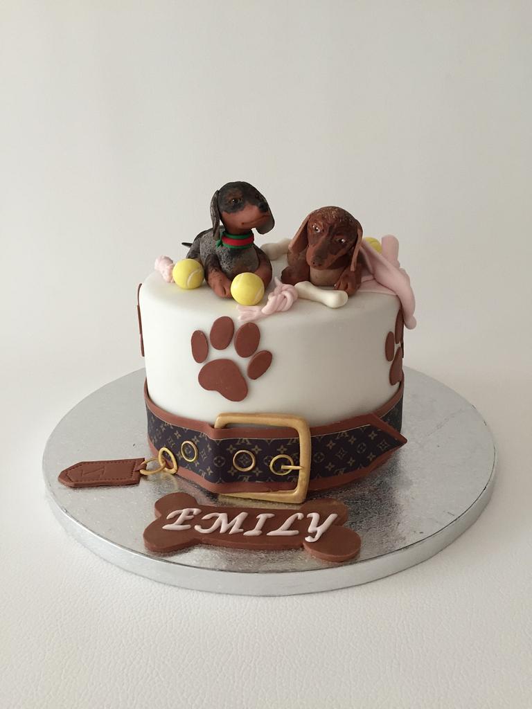 Dachshund puppy wearing a party`s hat holds birthday cake with • wall  stickers young, white, sweet | myloview.com