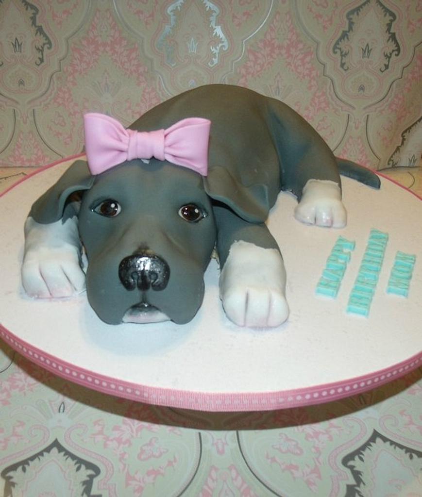 Pit bull puppy Decorated Cake by Danielle Lechuga CakesDecor