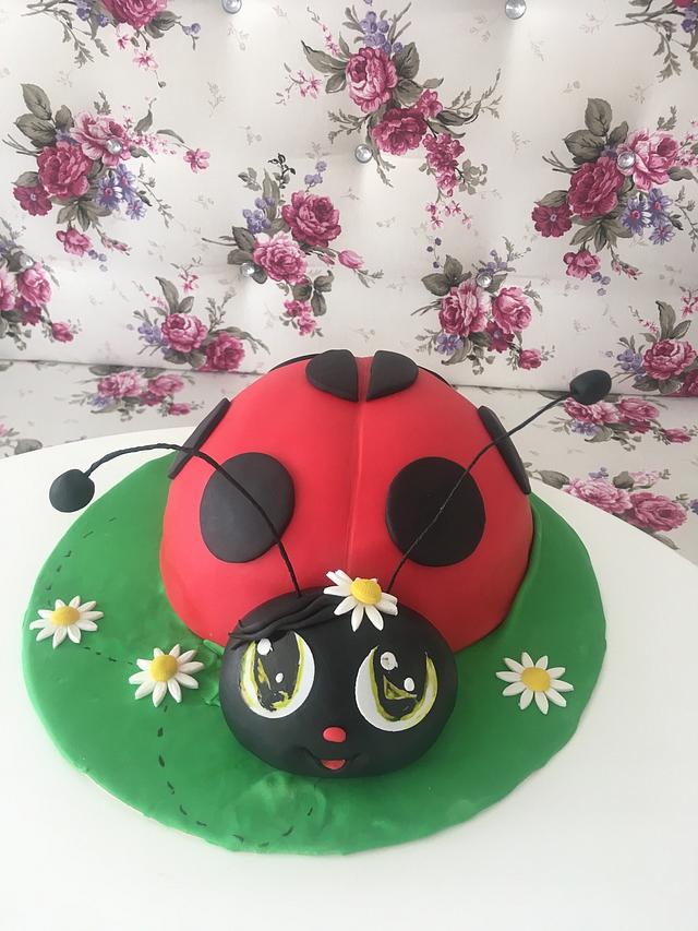 Ladybug cake - Cake by Doroty - CakesDecor