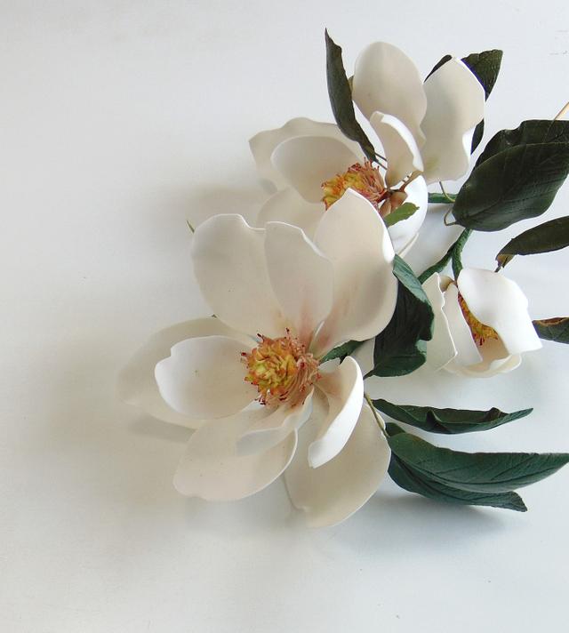 Magnolia cake by Natalia Casaballe CakesDecor