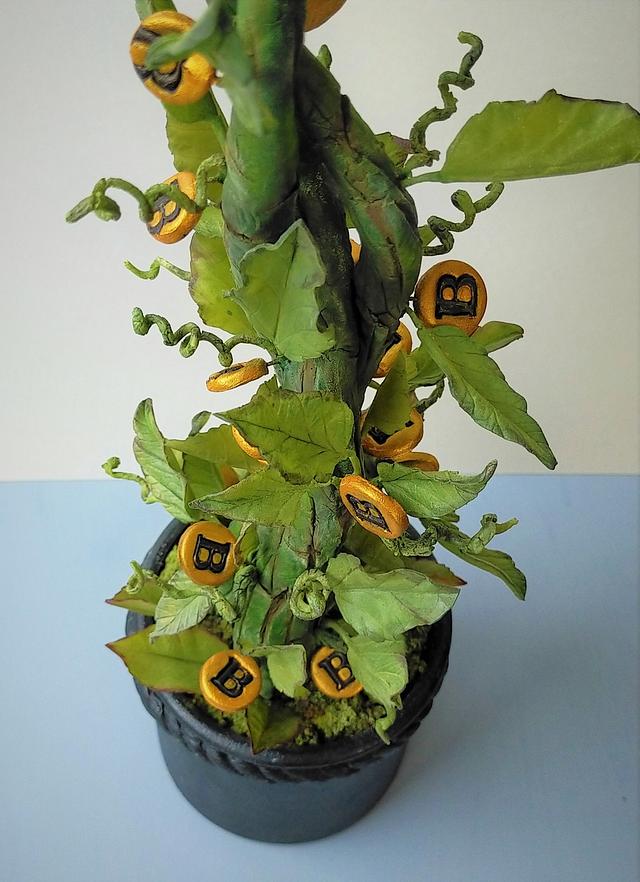 magic bean plant that produces bitcoin - Decorated Cake - CakesDecor