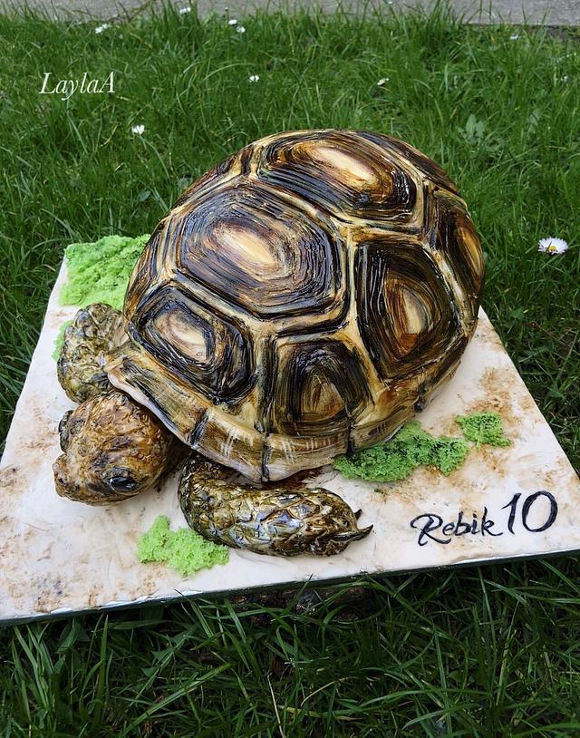 Tortoise birthday cake - Decorated Cake by Layla A - CakesDecor