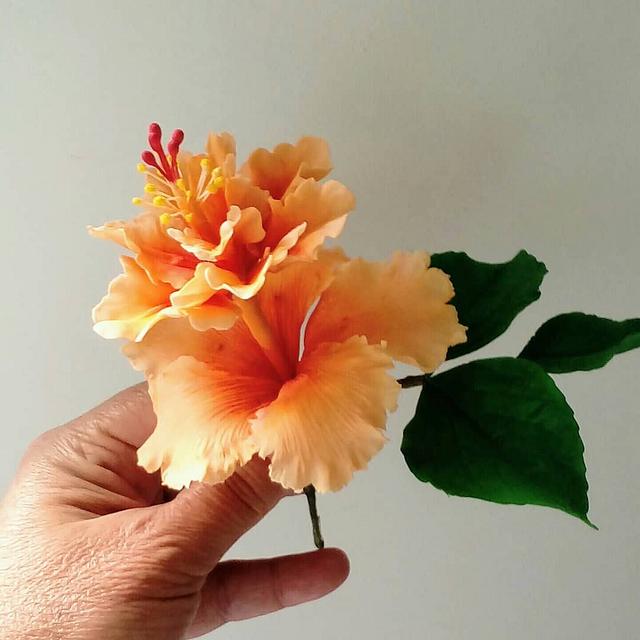 Gumpaste hibiscus Decorated Cake by Sugared CakesDecor