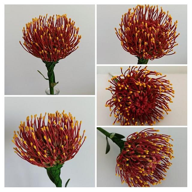 Protea pincushion Decorated Cake by Anka CakesDecor