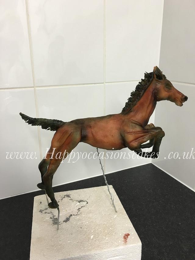 Race horse - Cake by Paul of Happy Occasions Cakes. - CakesDecor