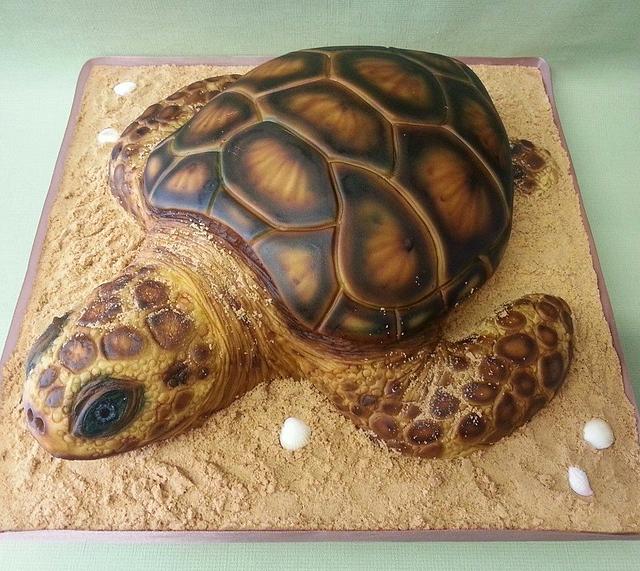 Sea Turtle Cake - Decorated Cake by Di's Delights - CakesDecor