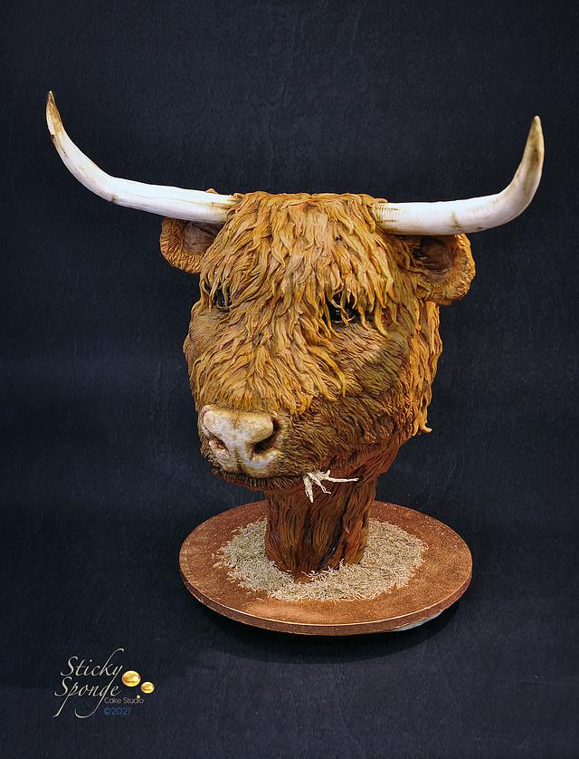 Highland cow cake from Sticky Sponge Cake Studio