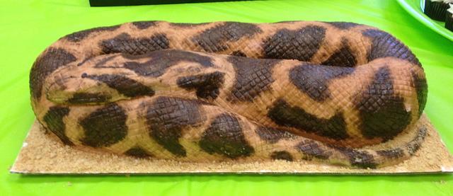 Burmese Python - Decorated Cake by Ali Boren - CakesDecor